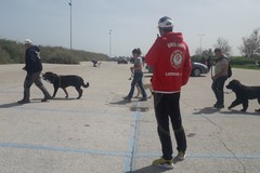 Pet Therapy: “La giusta convivenza con il nostro amico peloso”