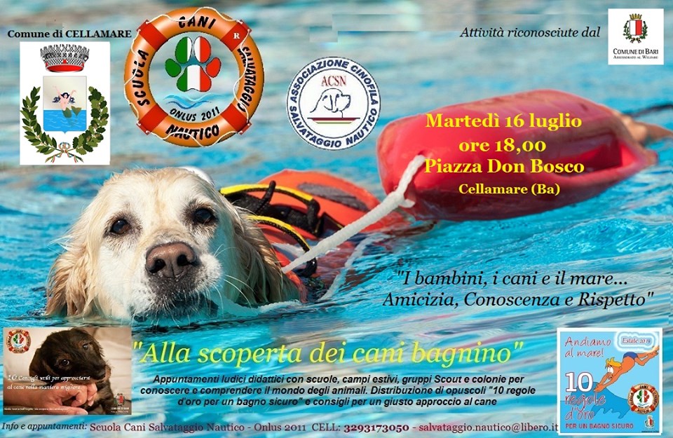 Alla scoperta dei cani bagnino: i bambini, i cani e il mare