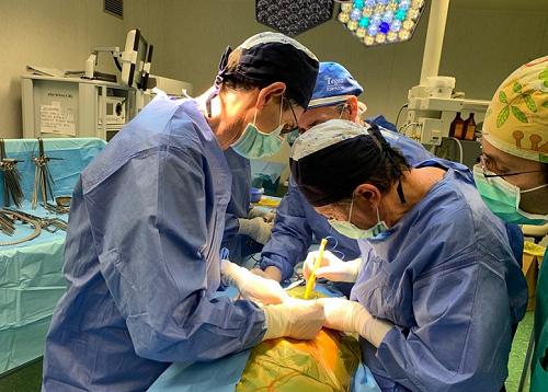 L'emergenza Covid-19 non ferma i trapianti di rene al Policlinico