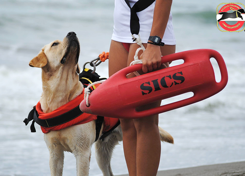 Lunedì la consegna di una targa di riconoscimento all’Associazione Scuola Cani Salvataggio Nautico per i 10 anni di vita dell’organizzazione di volontariato