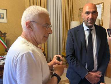 Un rondone si intrufola nella stanza del sindaco Leccese: salvato dal nucleo operativo recupero fauna selvatica